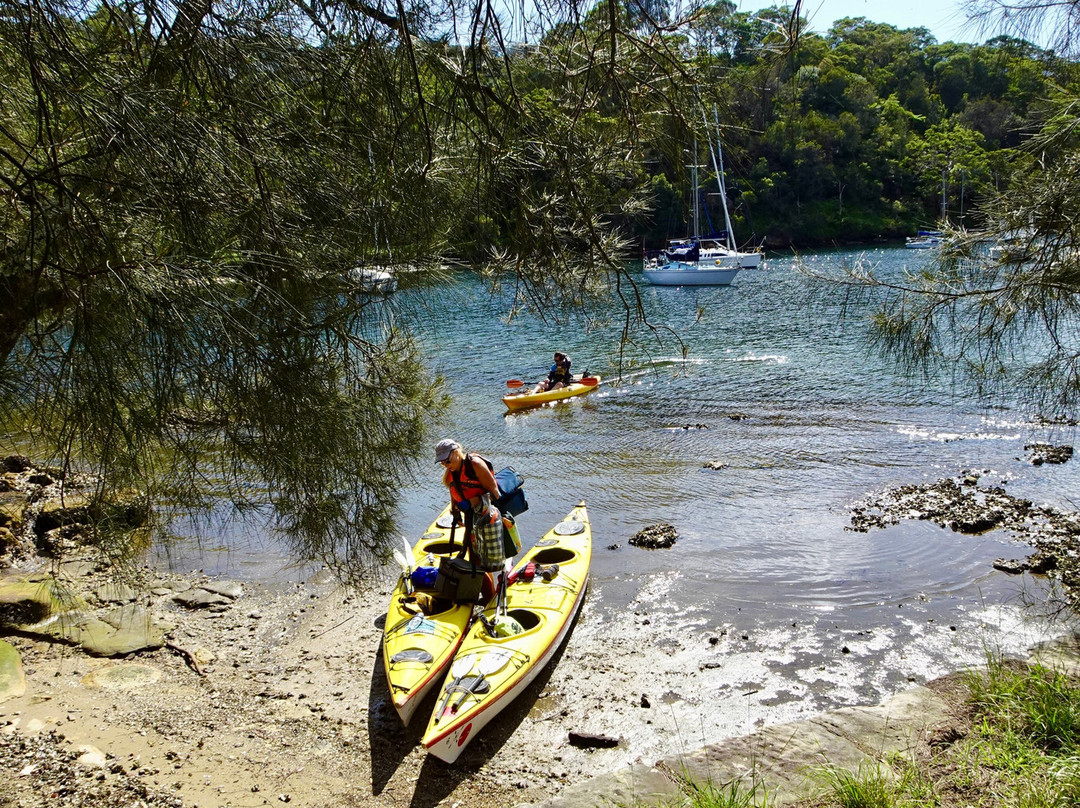 Sydney Harbour Kayaks-莫斯曼必去景点