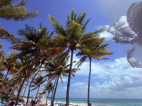 土龙沙滩-阿范特拉斯港必去景点