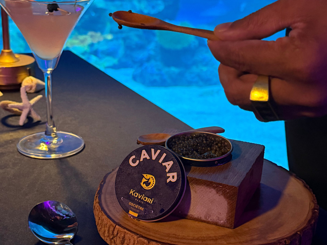 Aquaria Phuket Thailand-普吉镇必去景点