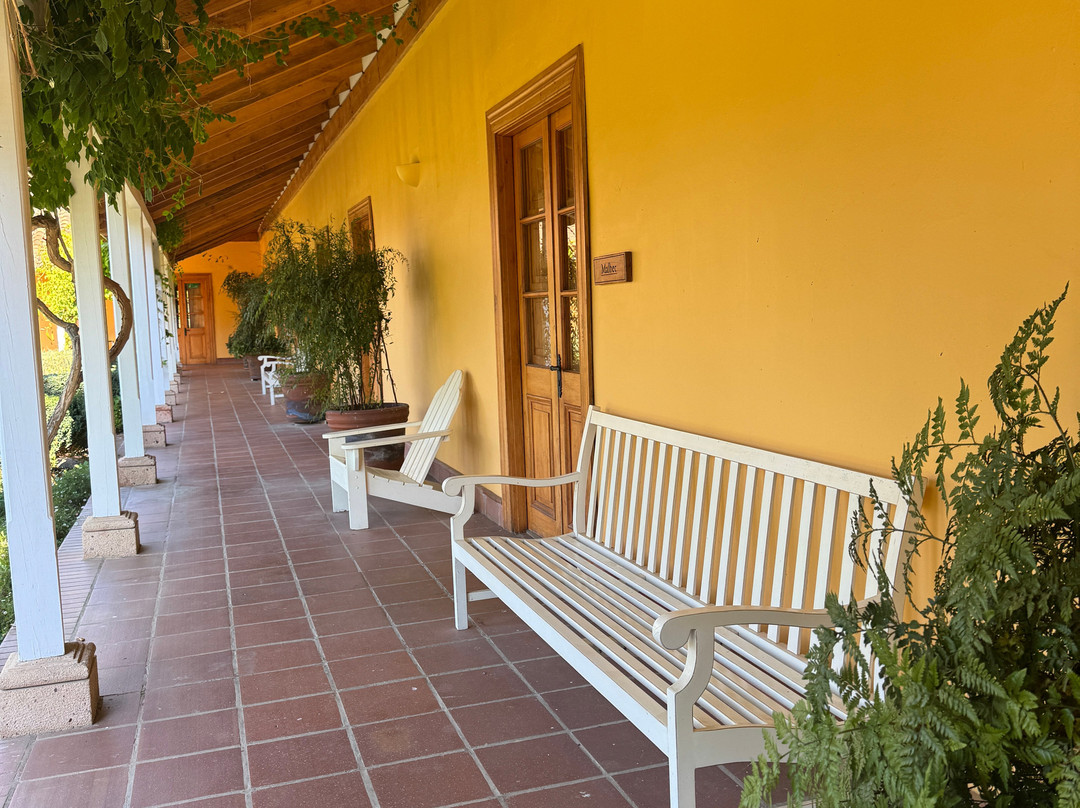 马特提克葡萄园卡索纳酒店主图