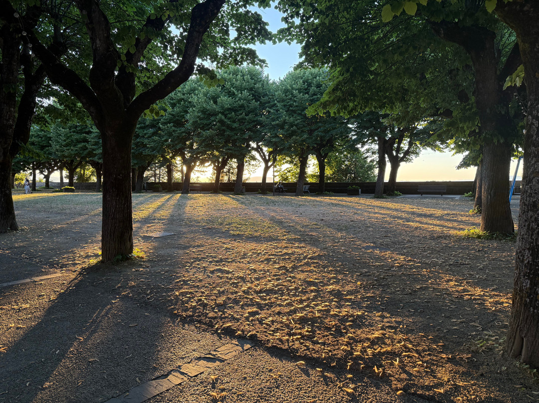 Parco Di Colle Ascarano-San Ginesio必去景点