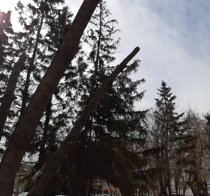 Yu. Gagarin Park of Culture and Leisure-萨马拉必去景点