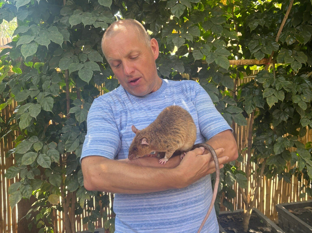 APOPO Visitor Center-暹粒必去景点