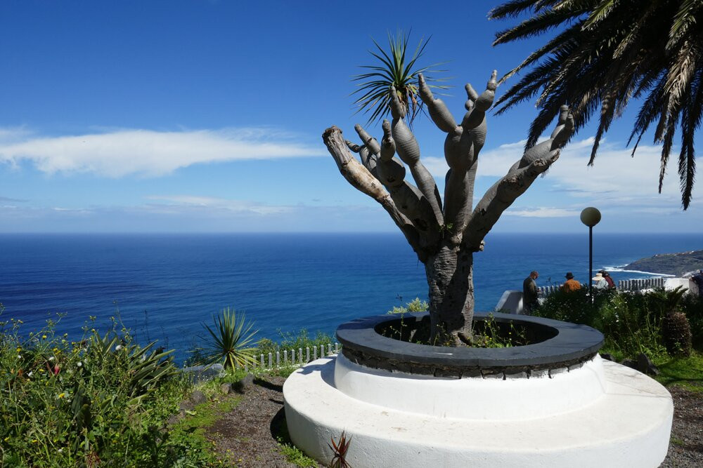 Mirador De La Garañona-El Sauzal必去景点