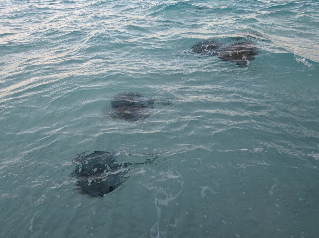 White Sand Water Sports-East End必去景点