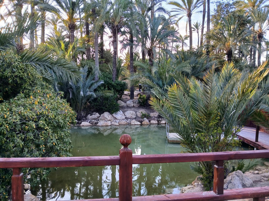 Parque El Palmeral-阿利坎特省必去景点