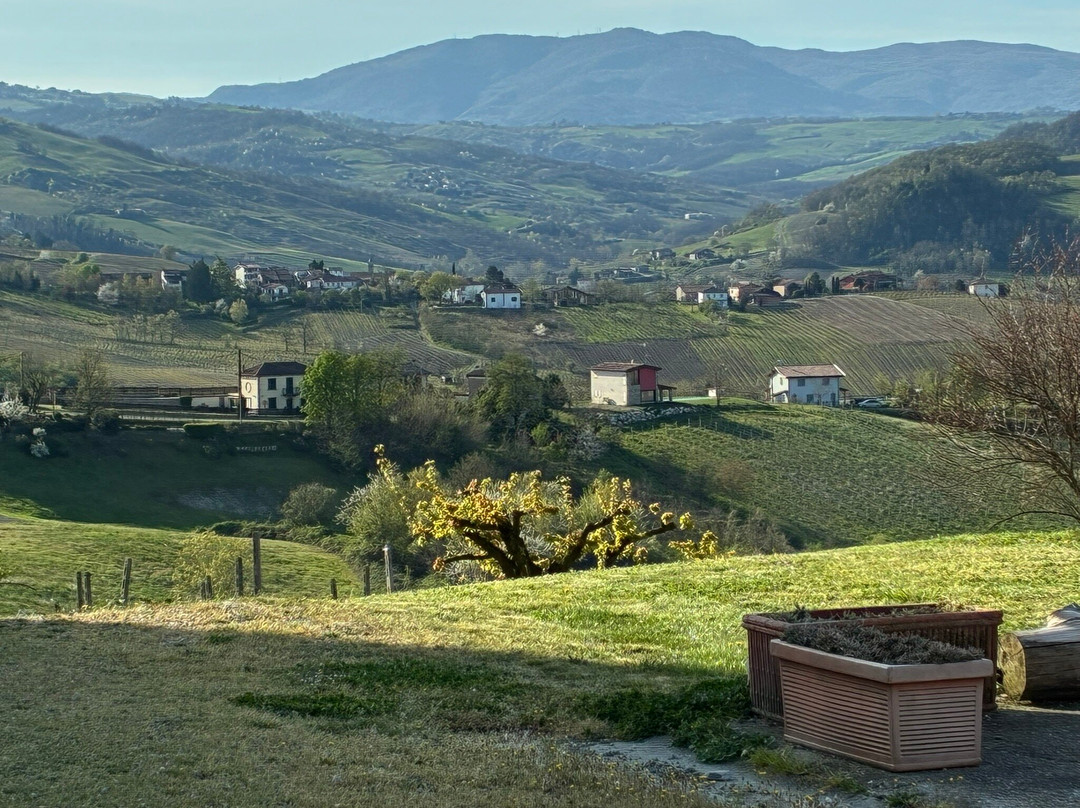 Agriturismo Cella di Montalto主图