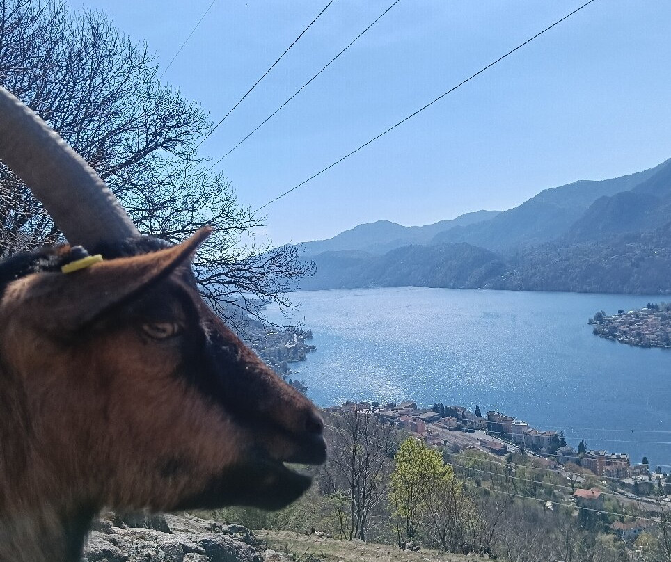 Alpe Mastrolini-Omegna必去景点