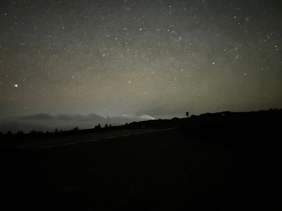 Discover Tenerife VIP Tours-圣克鲁斯-德特内里费必去景点