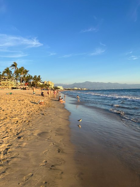 Hotel Riu 哈利斯科 - 全包-官方