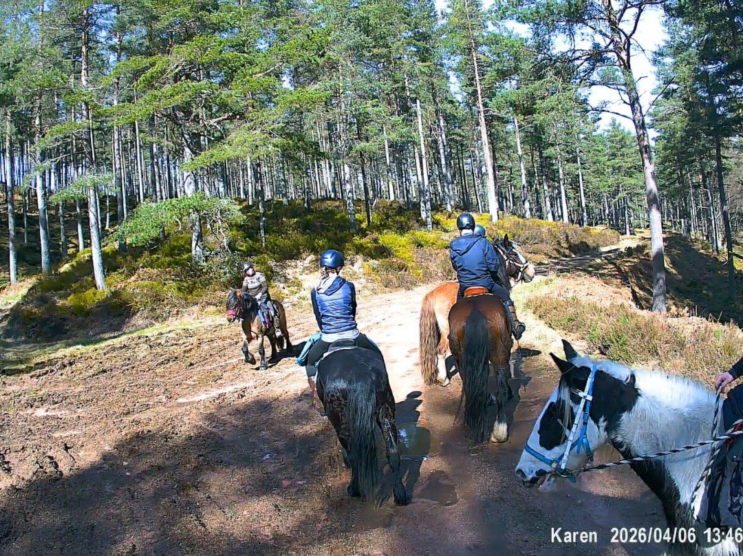 Highlands Unbridled Trail Riding & Trekking Centre-Aboyne必去景点