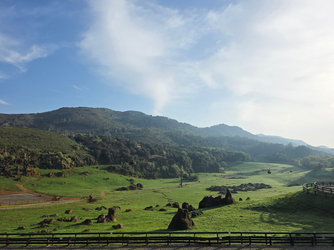Posada Naturae