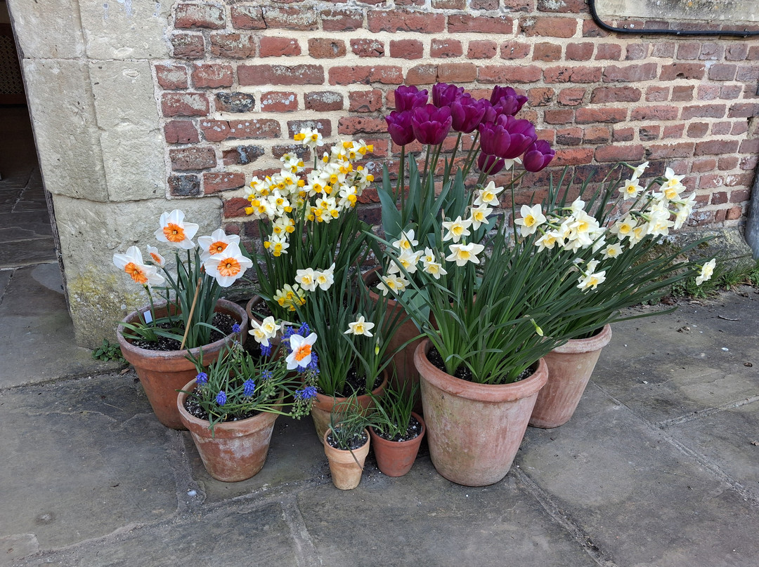 Herstmonceux Castle-Hailsham必去景点