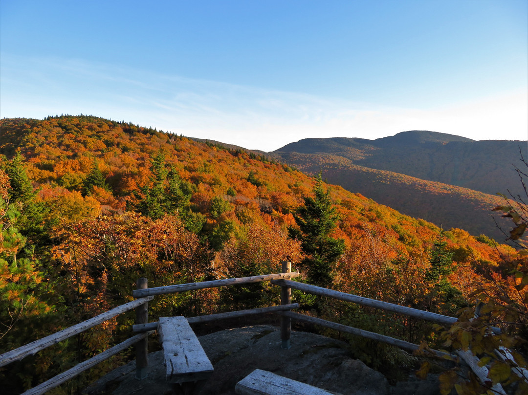 Parc d'environnement Naturel de Sutton-Sutton必去景点