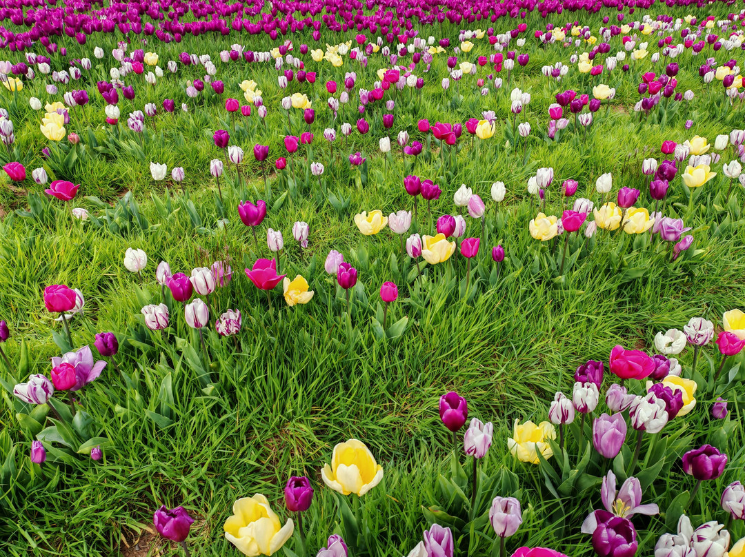 Darts Farm-Clyst Saint George必去景点