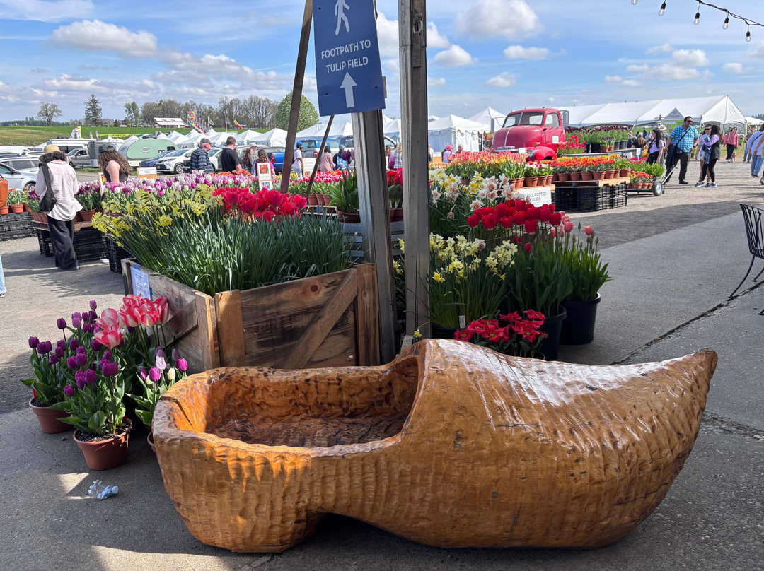 Wooden Shoe Tulip Farm-伍德本必去景点