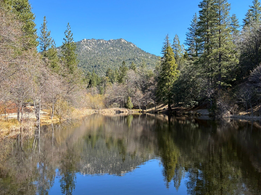 Lake Fulmor-Idyllwild必去景点