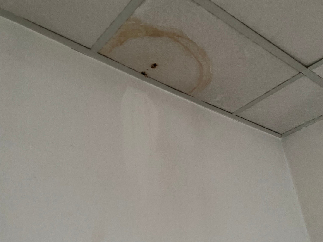 乌迪内标准酒店主图