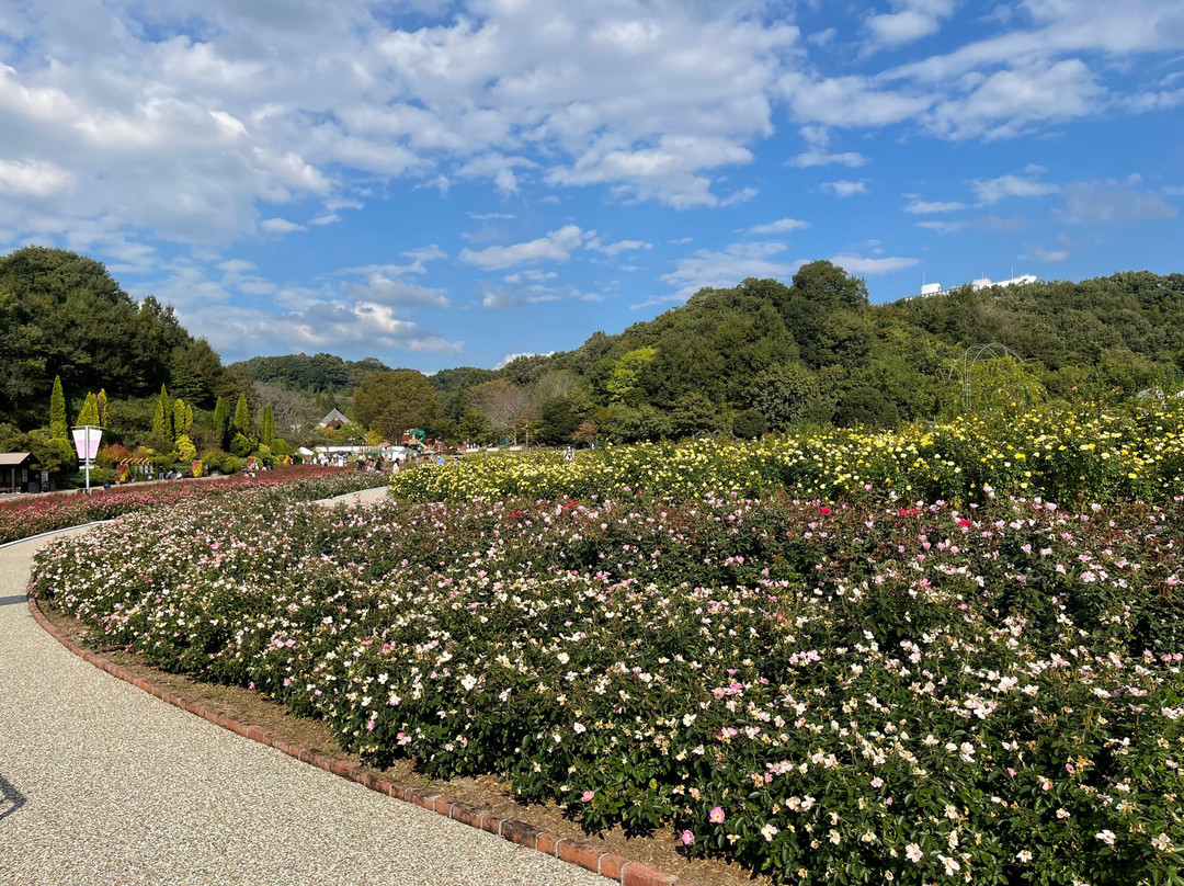 Onocho Rose Park-小野町必去景点