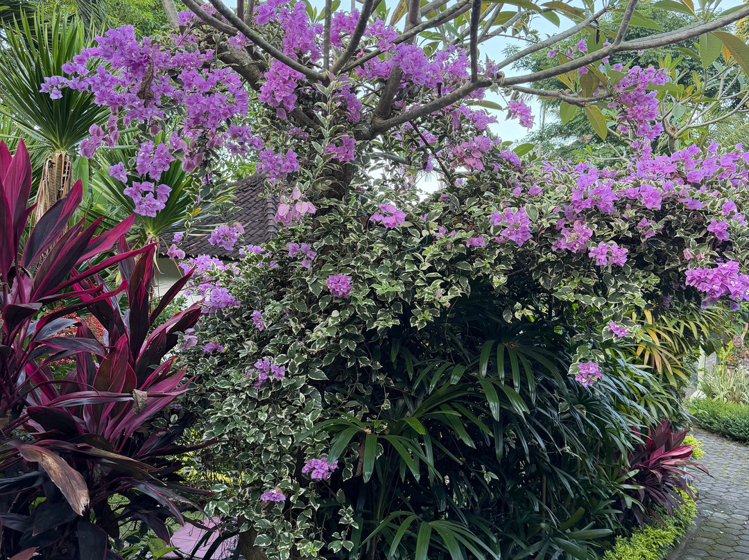 昌迪达萨达萨瓦纳丛林度假村