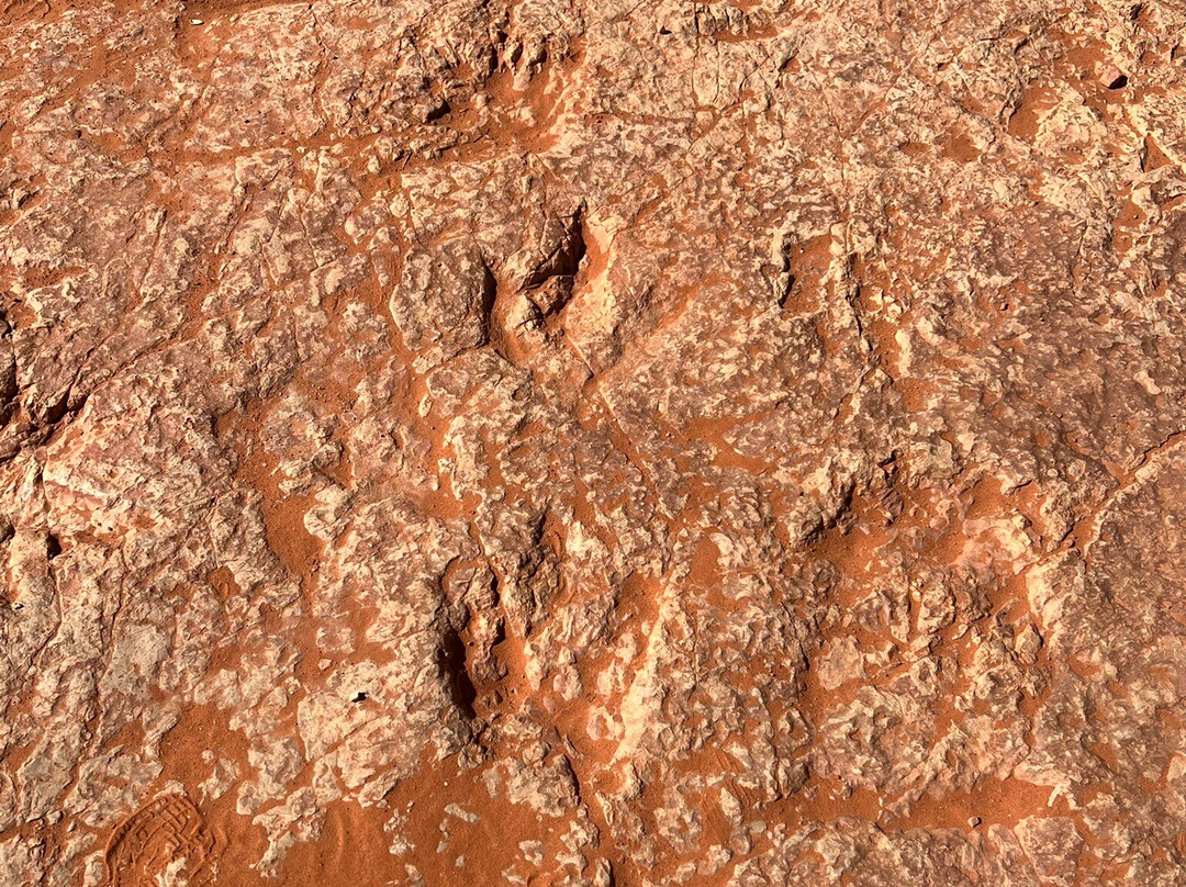 Red Cliffs National Conservation Area-圣乔治必去景点