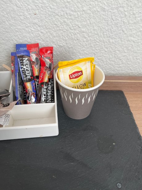 红色福克斯酒店-旅行者