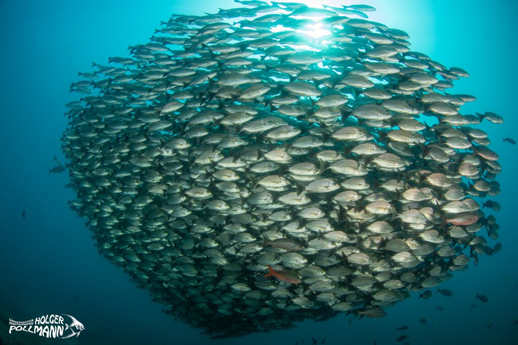Scuba Coiba-Santa Catalina必去景点