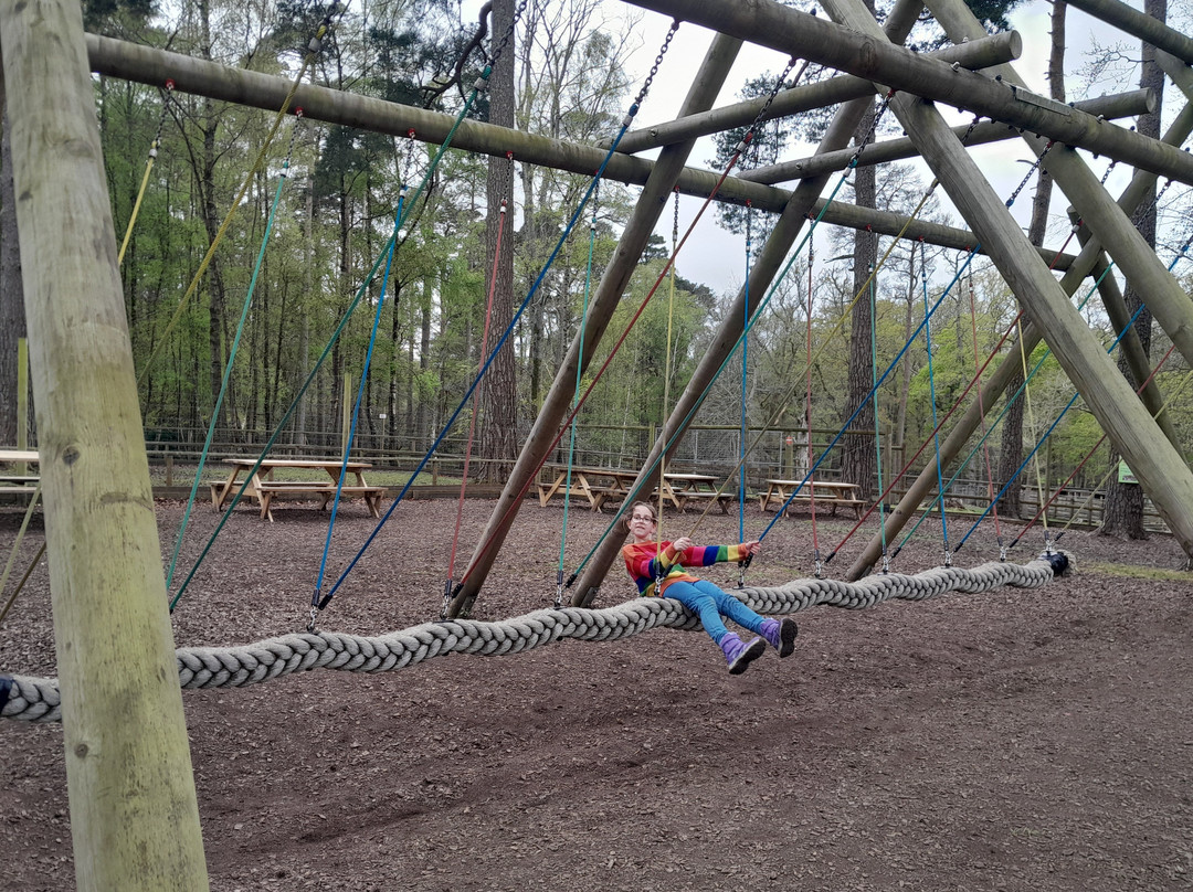 New Forest Wildlife Park-Ashurst必去景点