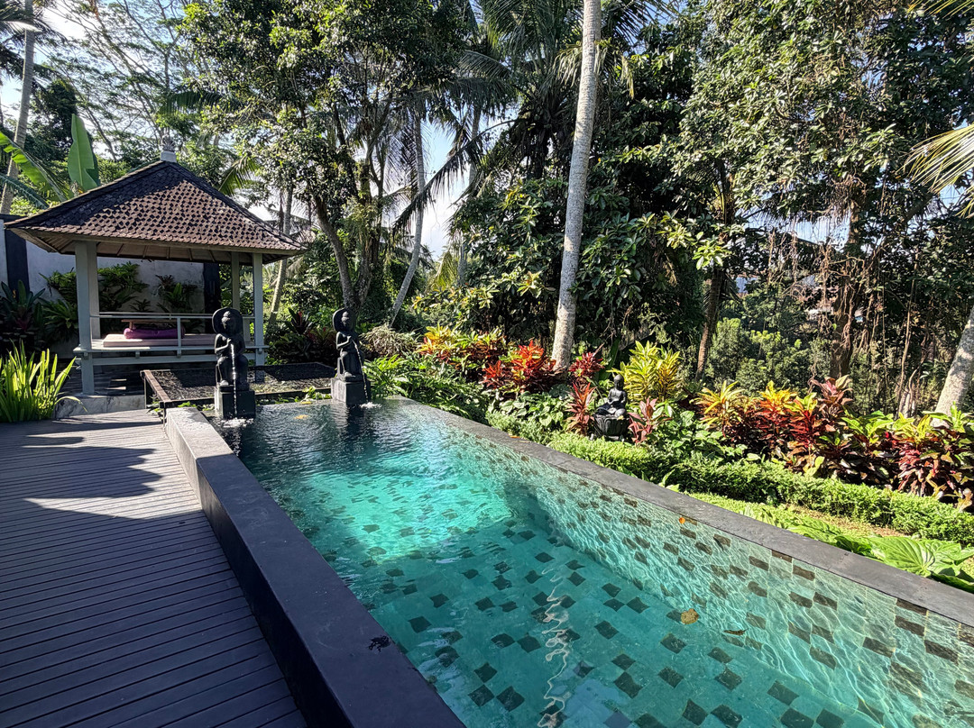 美丽蜻蜓酒店主图