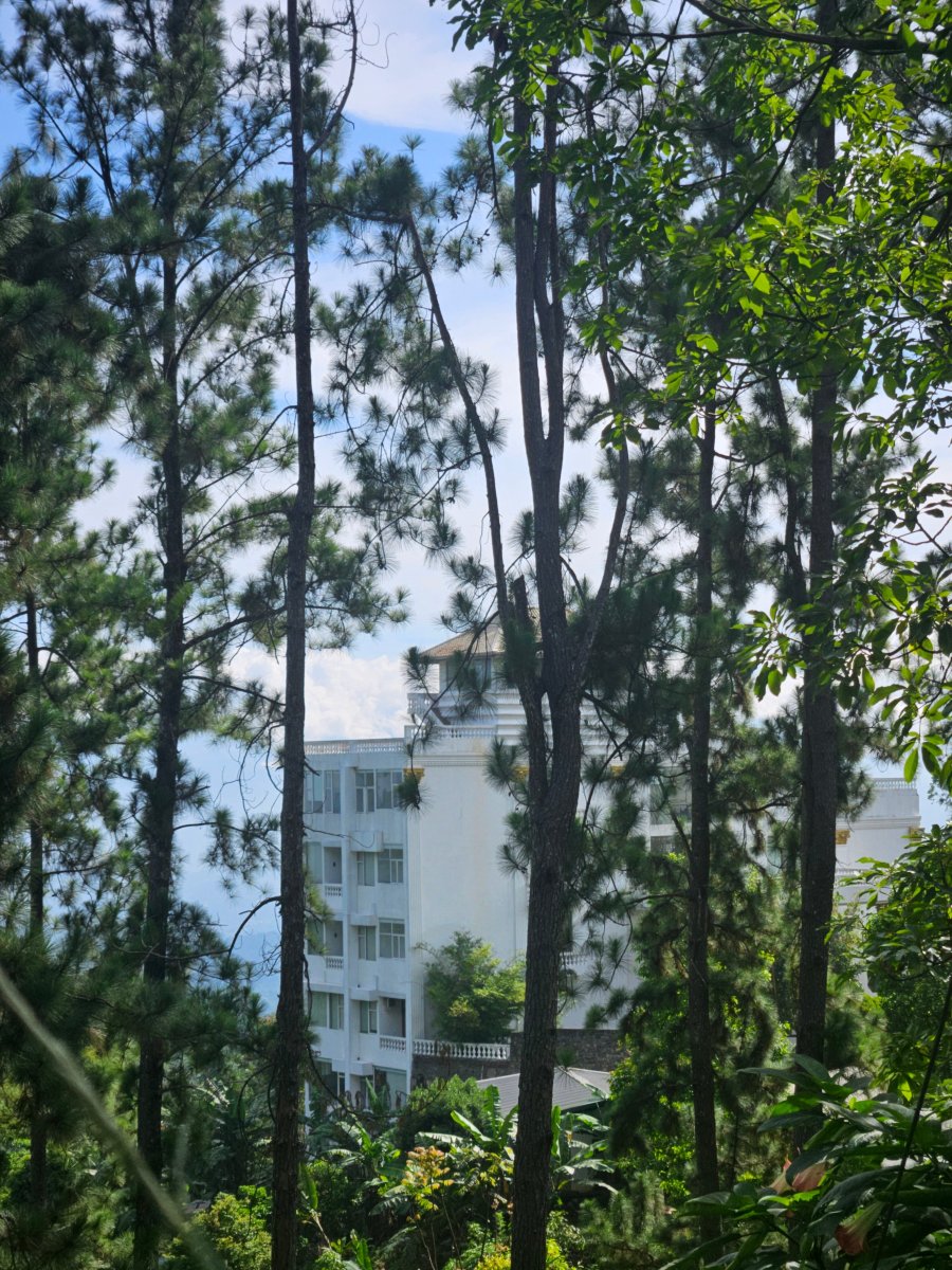贝尔伍德山水疗度假村-旅行者