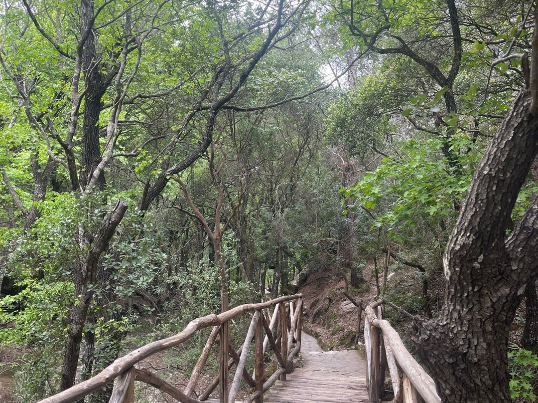 Valley of the Butterflies-Petaloudes必去景点
