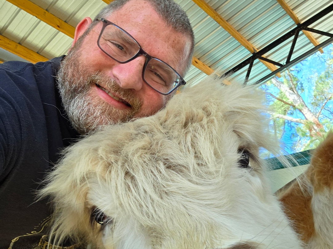 Rooterville Animal Sanctuary-Melrose必去景点