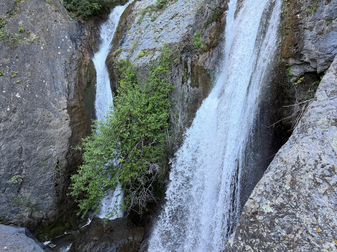 Corse Trike-Bastia必去景点