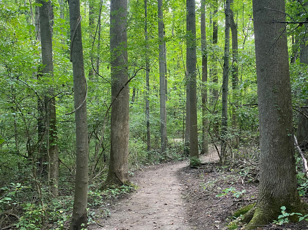 F.A. Seiberling Nature Realm-阿克伦必去景点