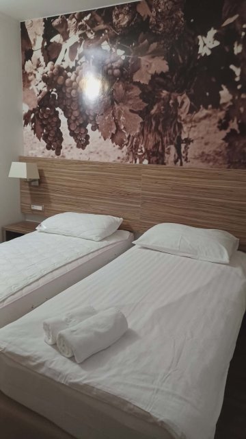 卢纳酒店-旅行者