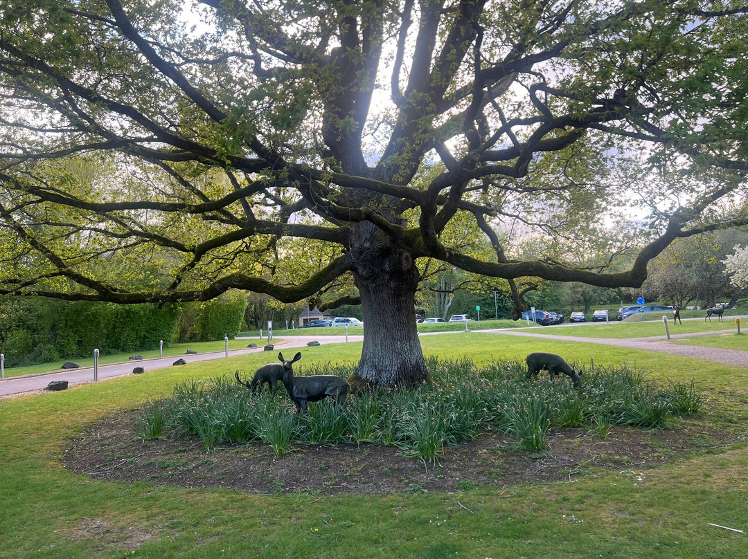 德威尔柯茨窝尔山水上乐园酒店主图