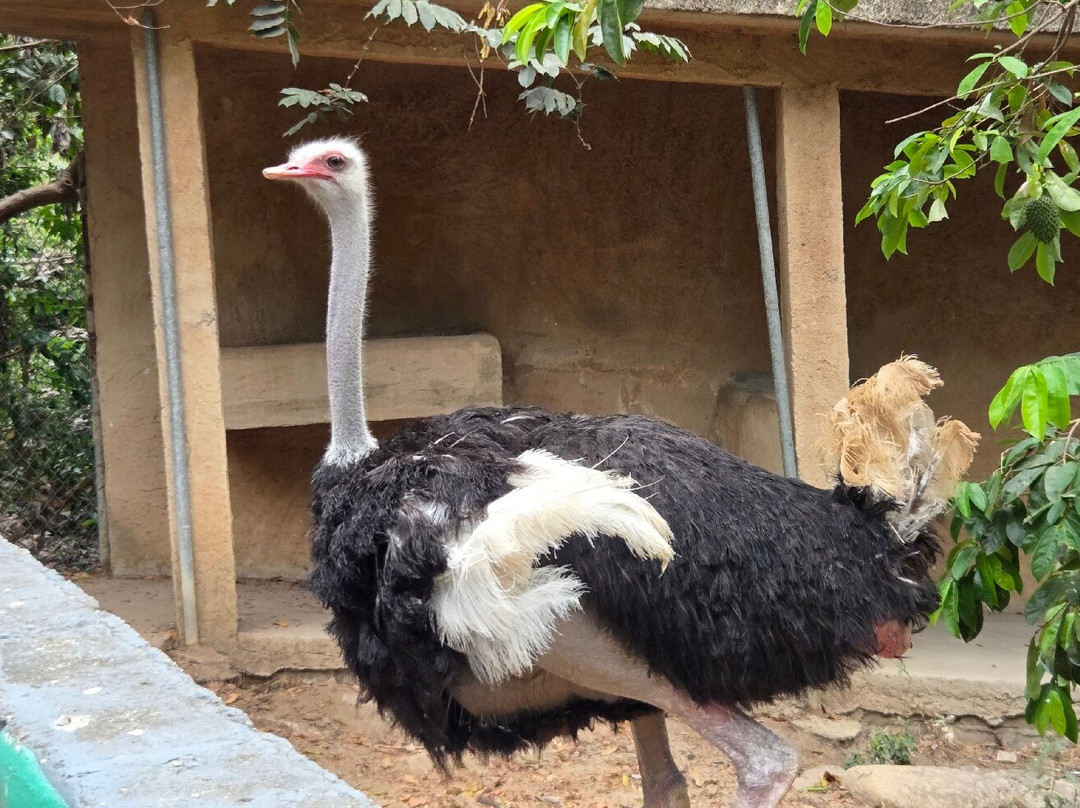 Zoologico de Vallarta-Mismaloya必去景点