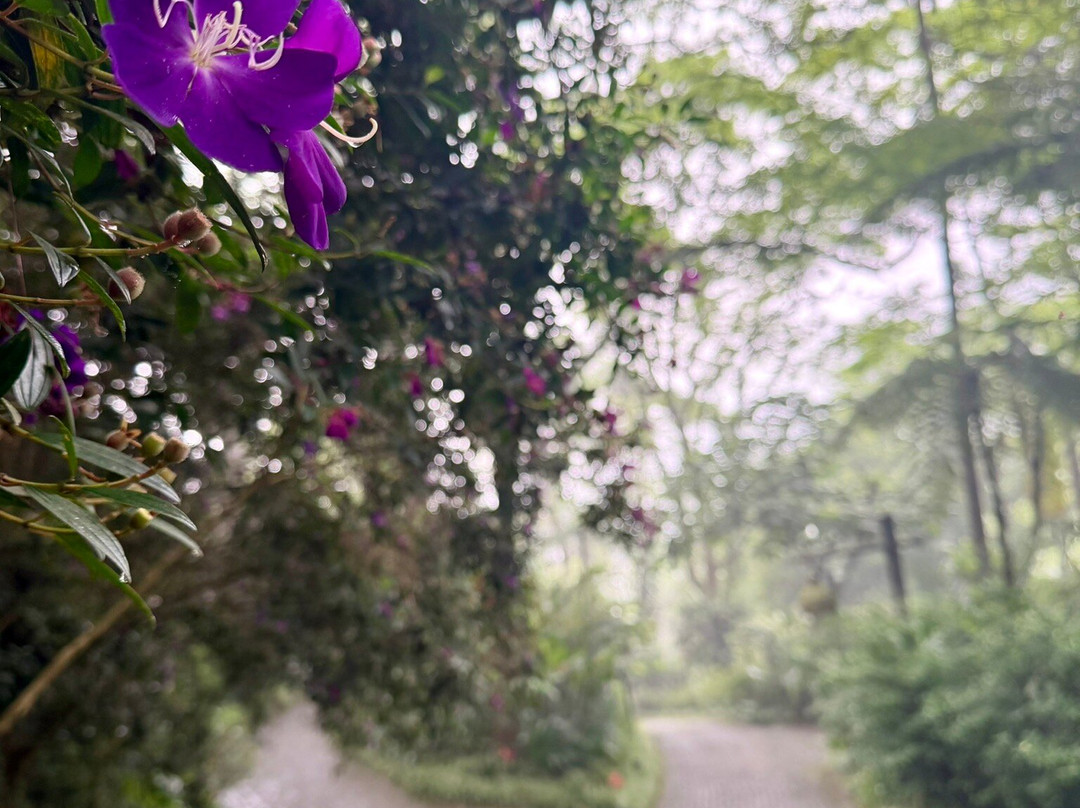 巴位山美利亚度假酒店主图