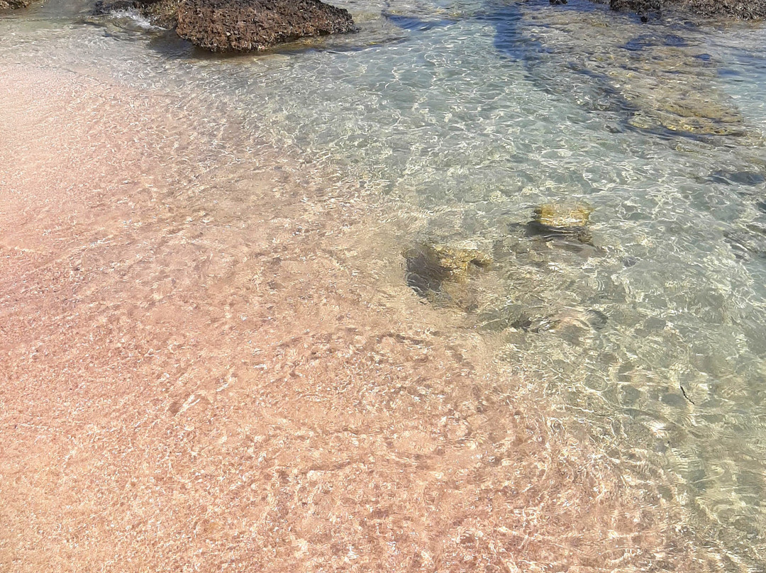 Elafonissi Beach-拉格尼西必去景点