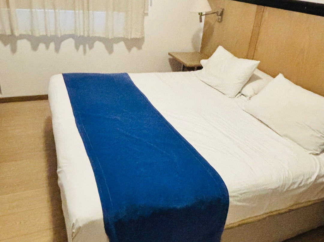 阿根廷酒店主图