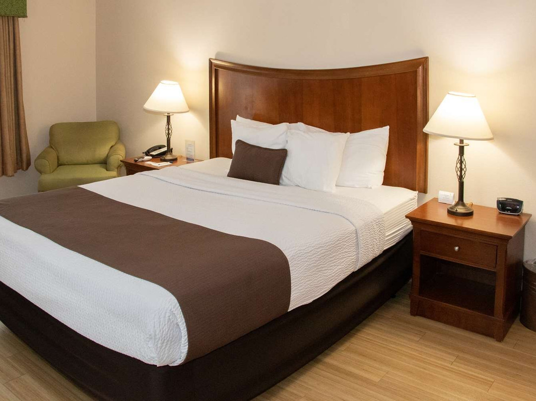 洛迪酒店住宿-Best Western I-5 Inn & Suites