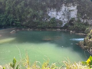 Loboc River-薄荷岛必去景点
