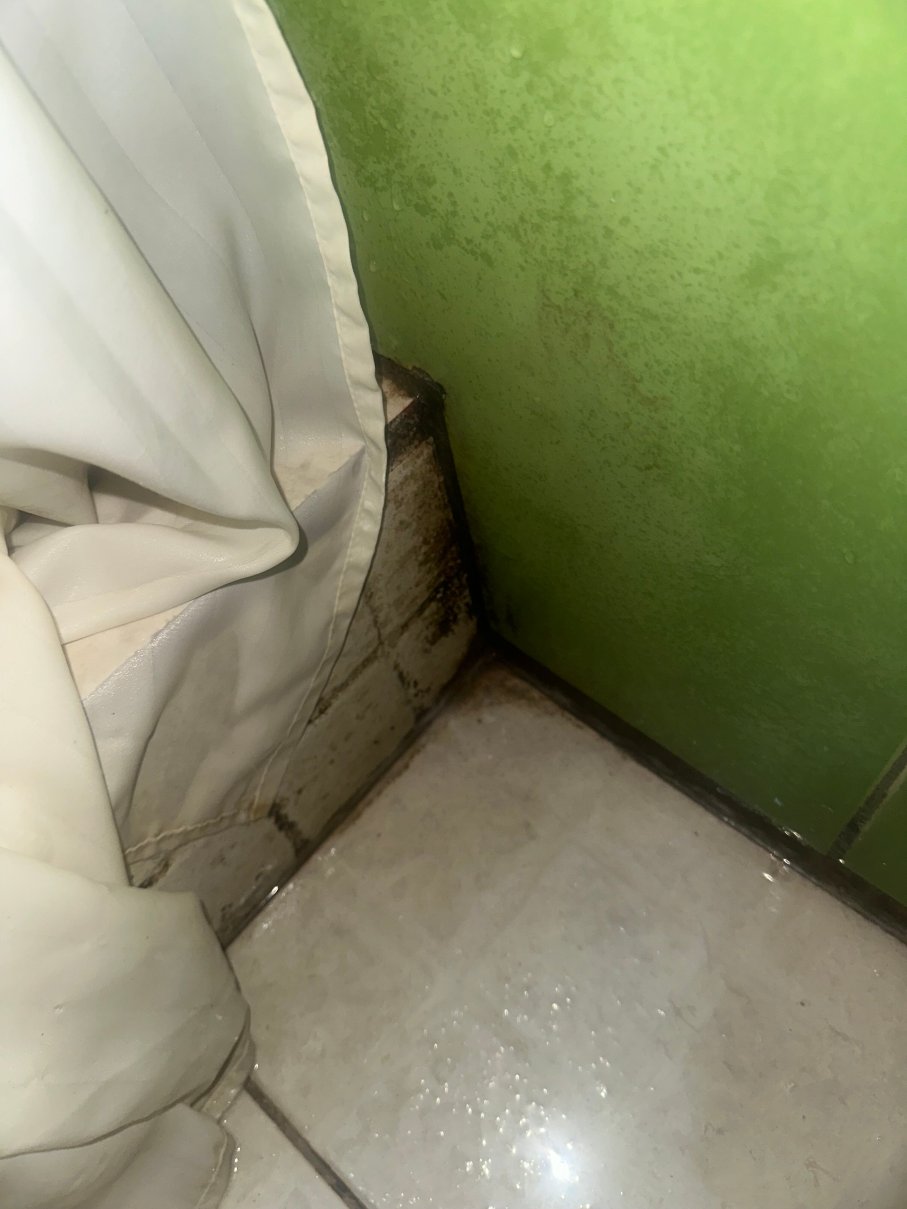Alamar Aparthotel-旅行者