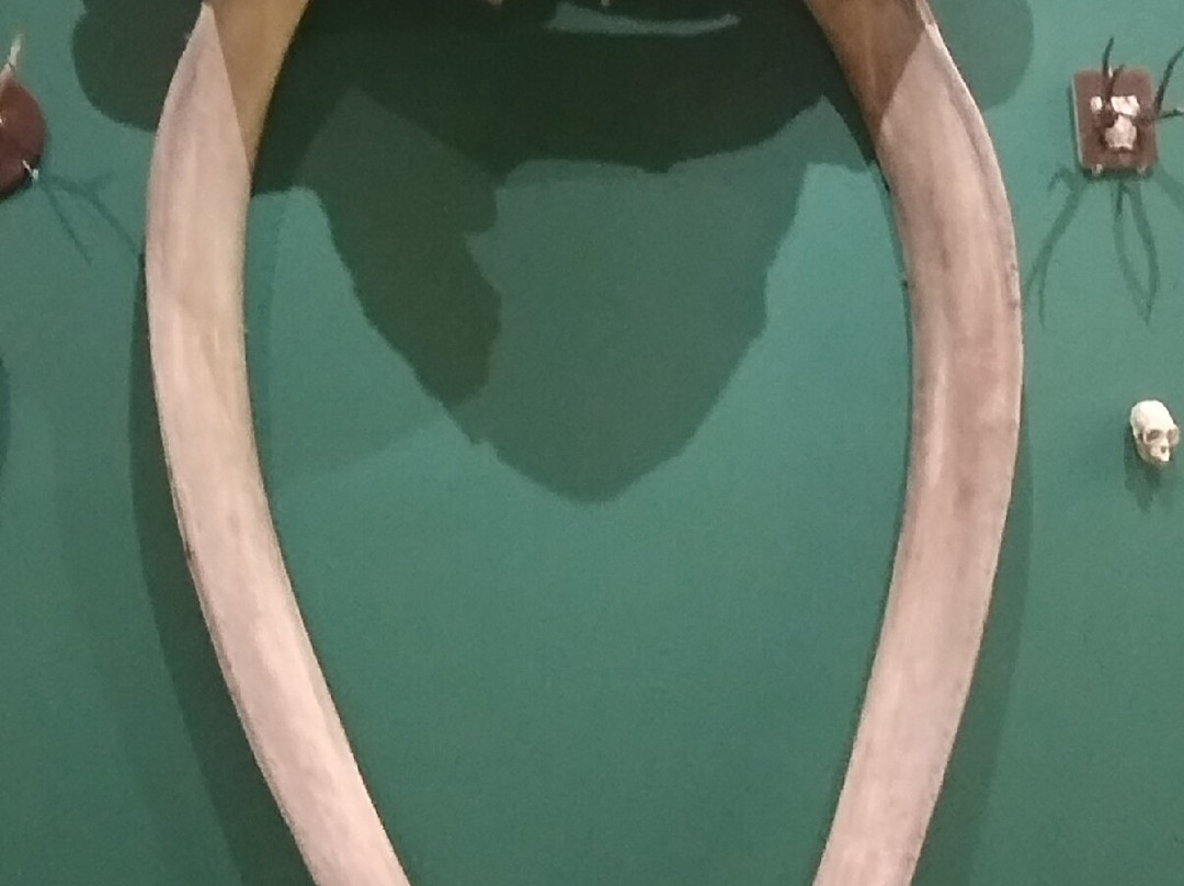 Museu Paraense Emílio Goeldi-贝伦必去景点