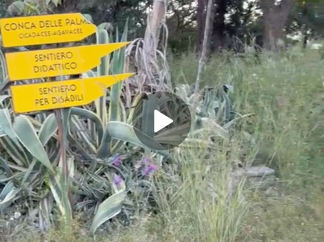 Giardino Botanico "Santicelli"-Soverato必去景点