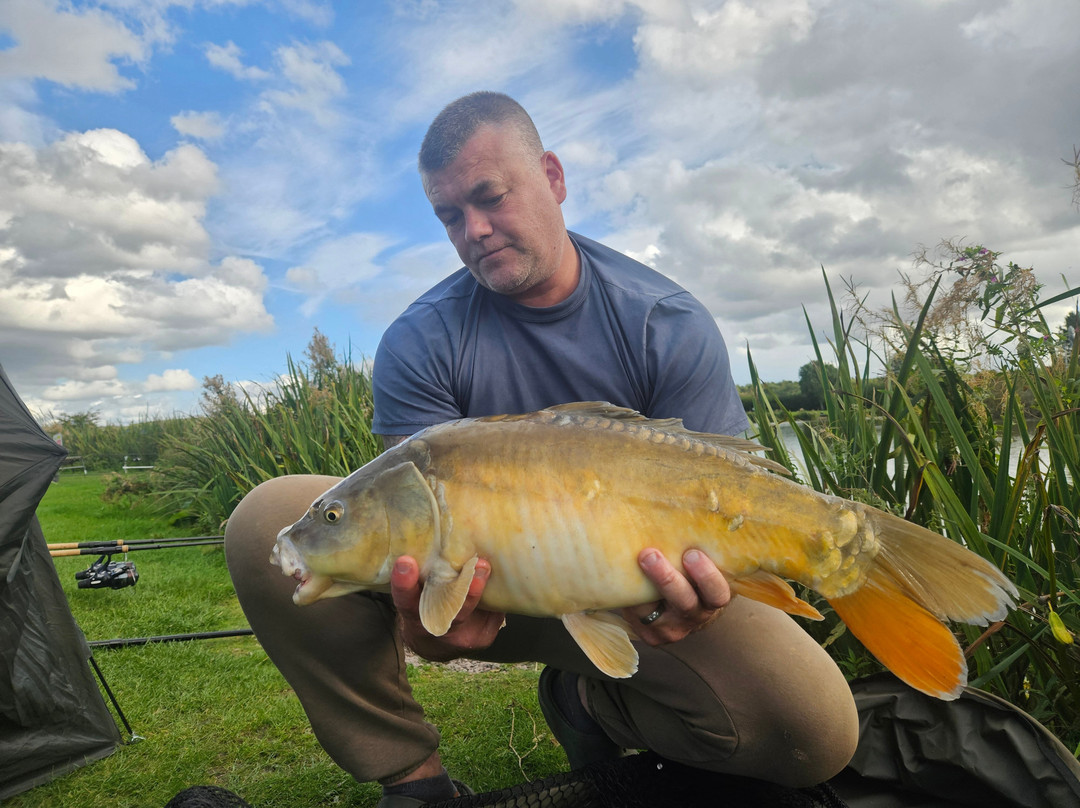 Pillaton Hall Farm-Penkridge必去景点