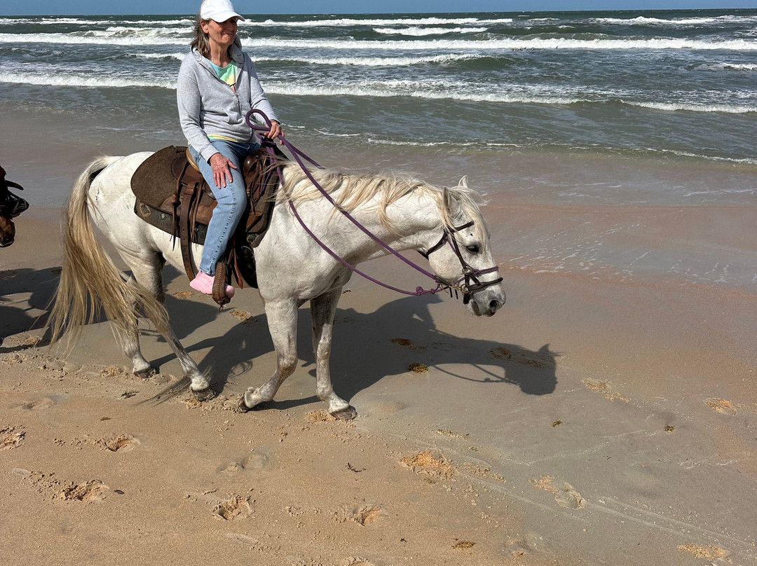 Equestrian Adventures of Florida-代托纳比奇必去景点