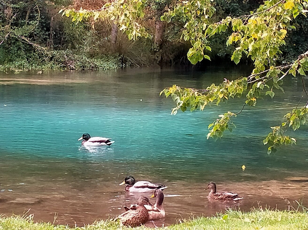 Nacimiento del Río Ebro-Fontibre必去景点