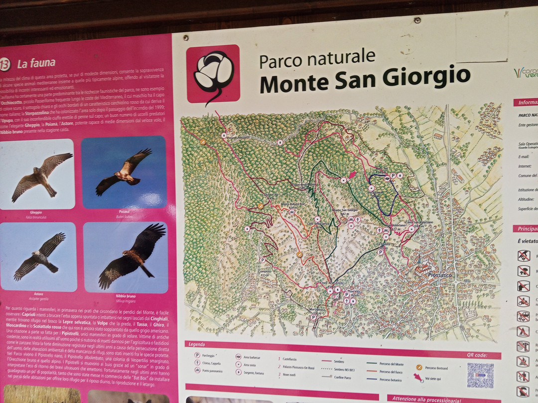 Parco Naturale del Monte San Giorgio-Piossasco必去景点