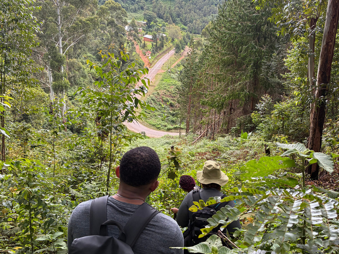 Magamba Eco-cultural Tourism-卢绍托必去景点